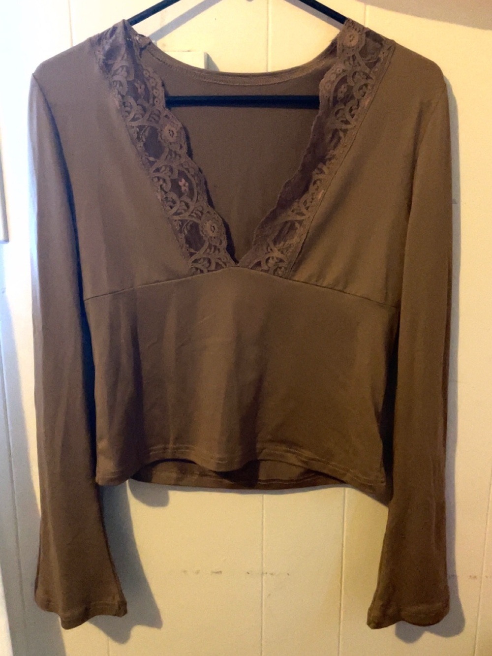 Women's Long Sleeve Lace-Trim V-Neck Top - Taupe